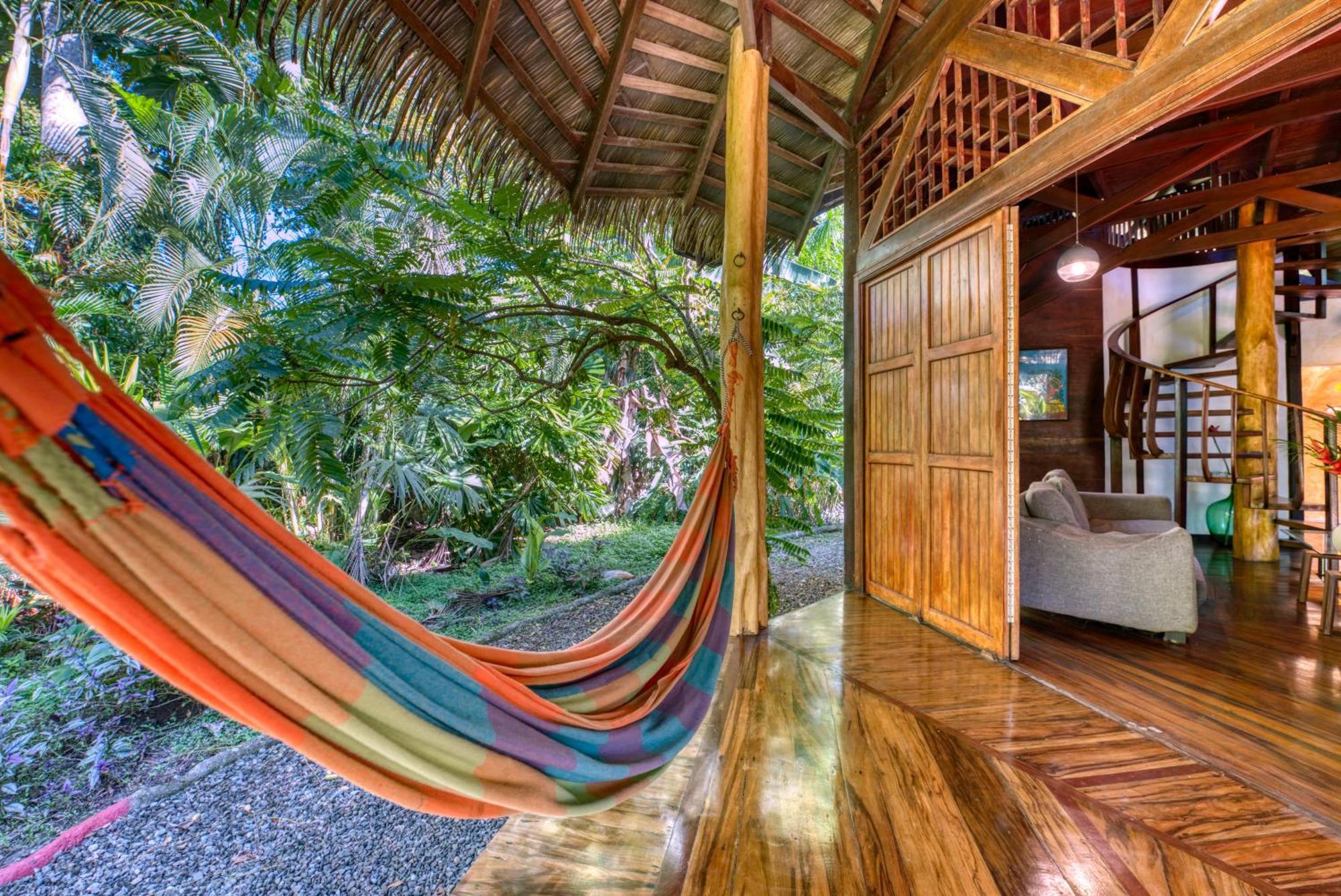 Tree House Beachfront Lodge Puerto Viejo de Talamanca Zewnętrze zdjęcie