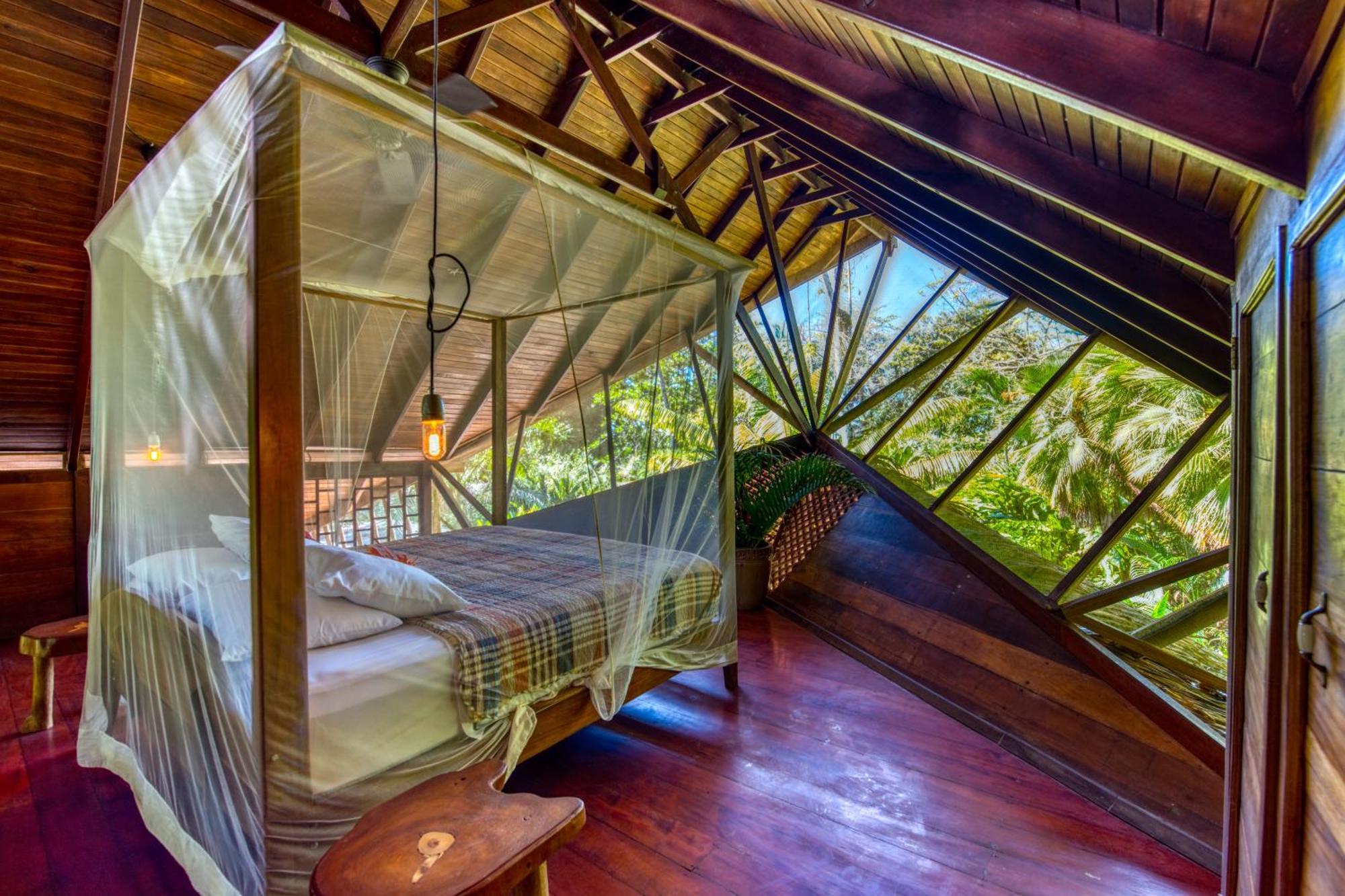 Tree House Beachfront Lodge Puerto Viejo de Talamanca Zewnętrze zdjęcie