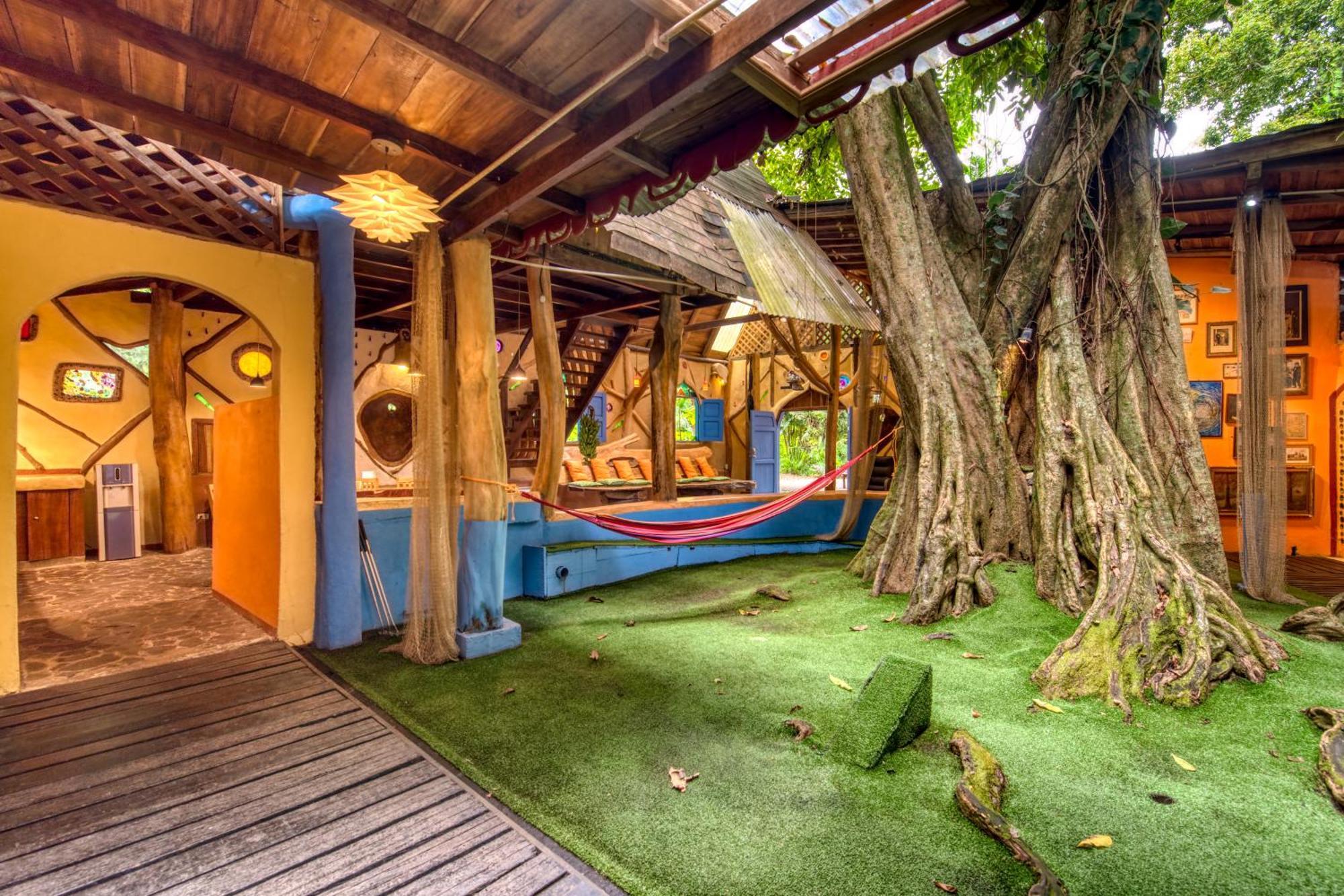 Tree House Beachfront Lodge Puerto Viejo de Talamanca Zewnętrze zdjęcie