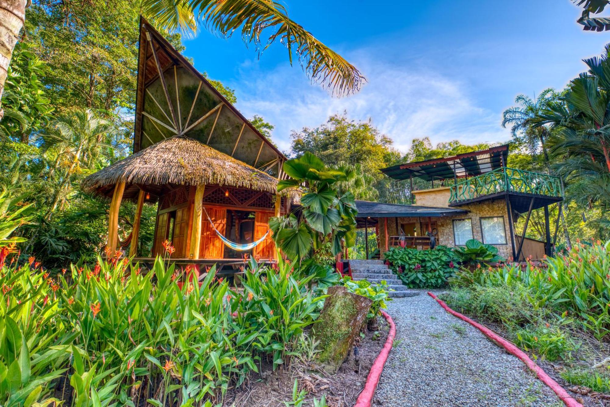 Tree House Beachfront Lodge Puerto Viejo de Talamanca Zewnętrze zdjęcie