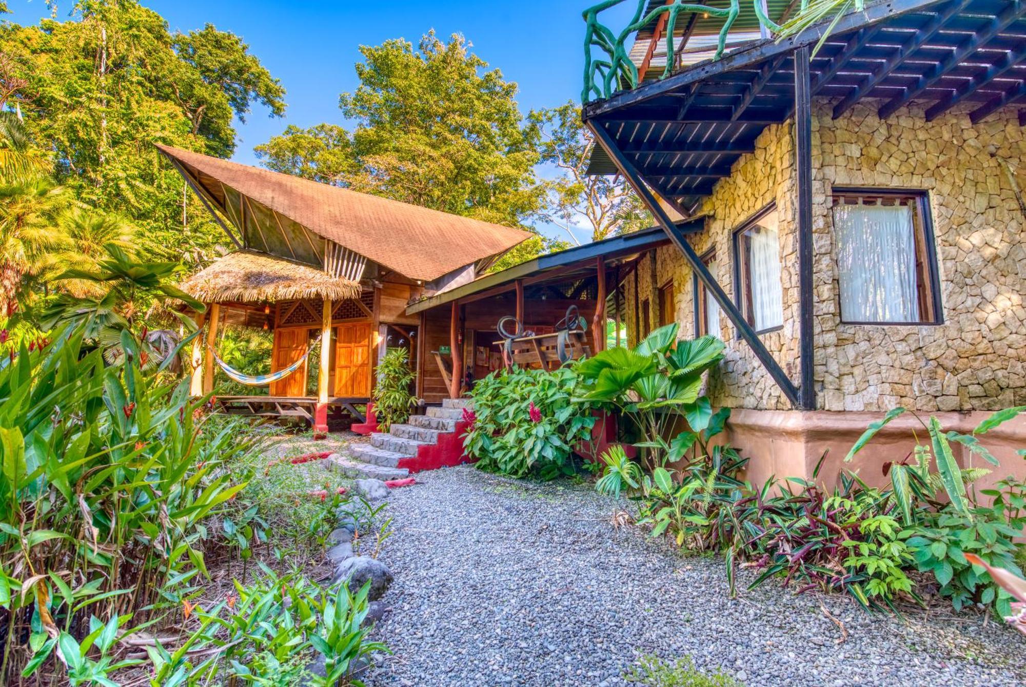 Tree House Beachfront Lodge Puerto Viejo de Talamanca Zewnętrze zdjęcie
