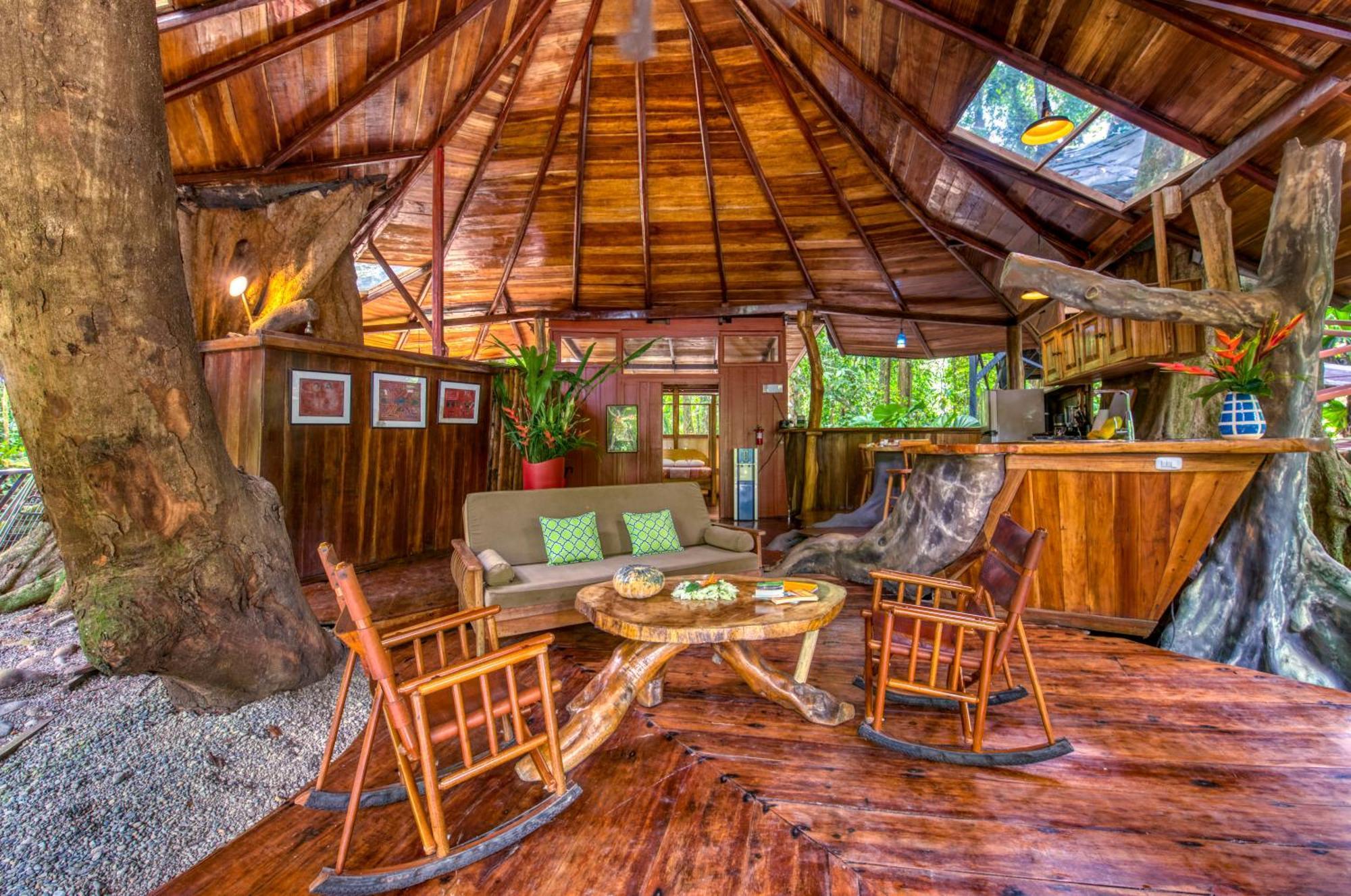 Tree House Beachfront Lodge Puerto Viejo de Talamanca Zewnętrze zdjęcie