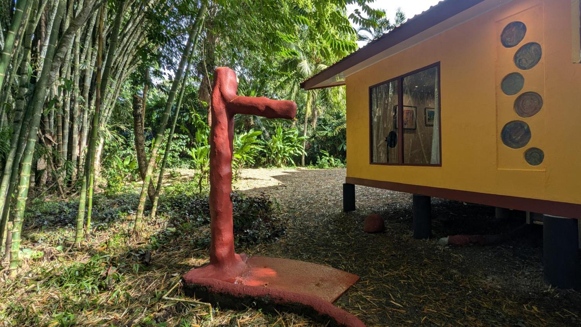 Tree House Beachfront Lodge Puerto Viejo de Talamanca Zewnętrze zdjęcie