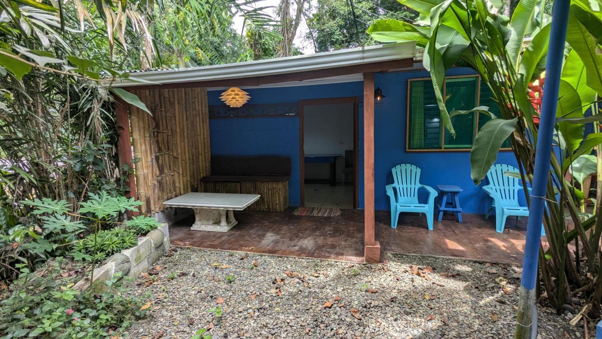 Tree House Beachfront Lodge Puerto Viejo de Talamanca Zewnętrze zdjęcie