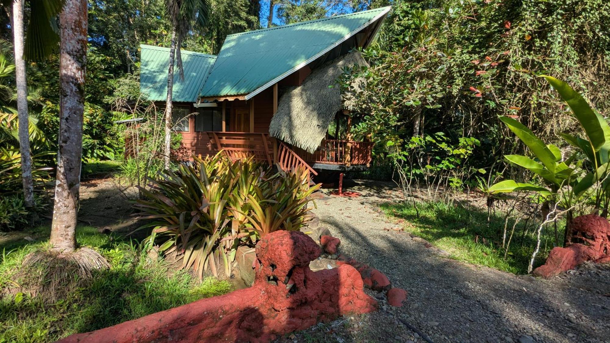 Tree House Beachfront Lodge Puerto Viejo de Talamanca Zewnętrze zdjęcie