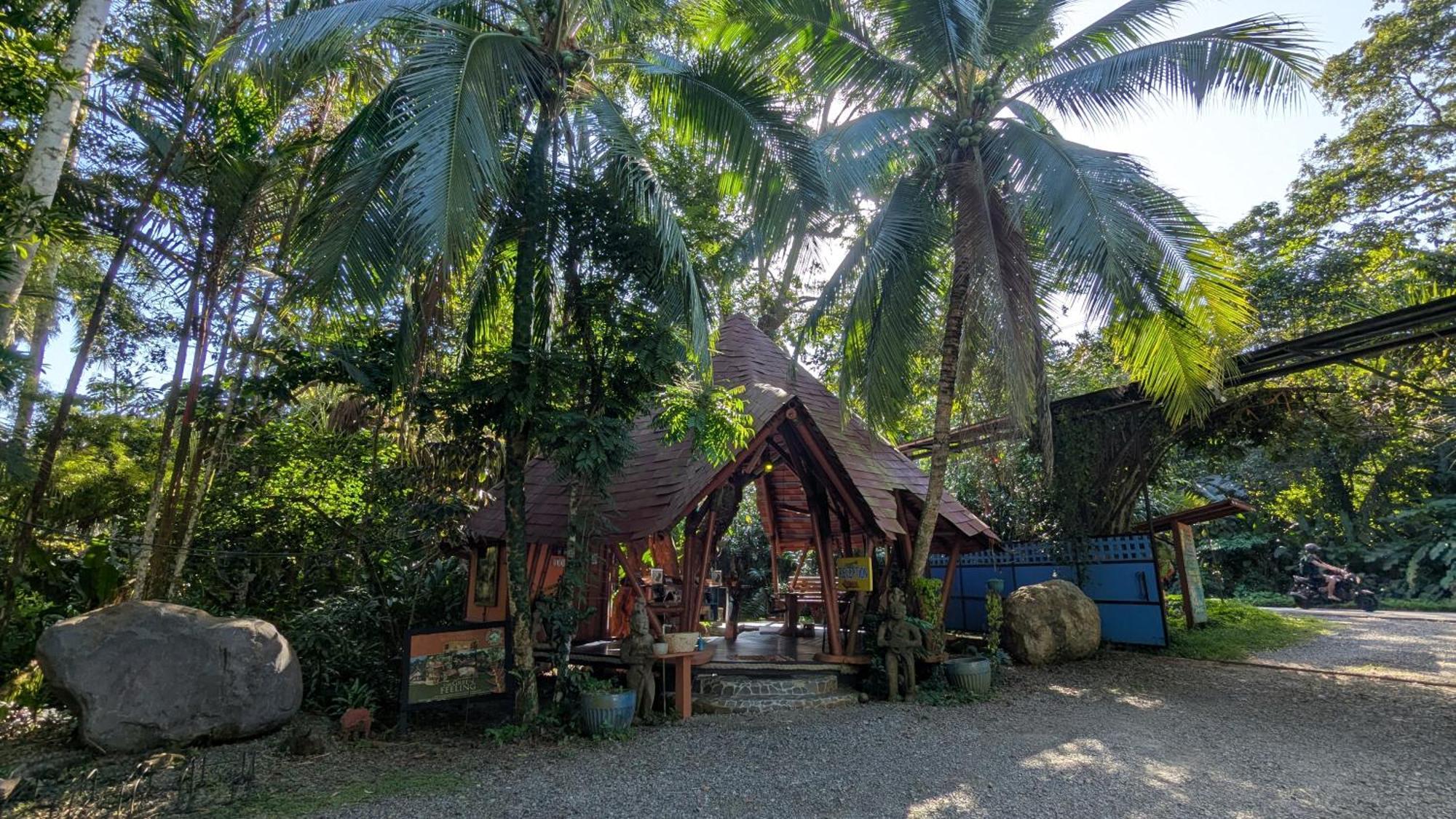Tree House Beachfront Lodge Puerto Viejo de Talamanca Zewnętrze zdjęcie