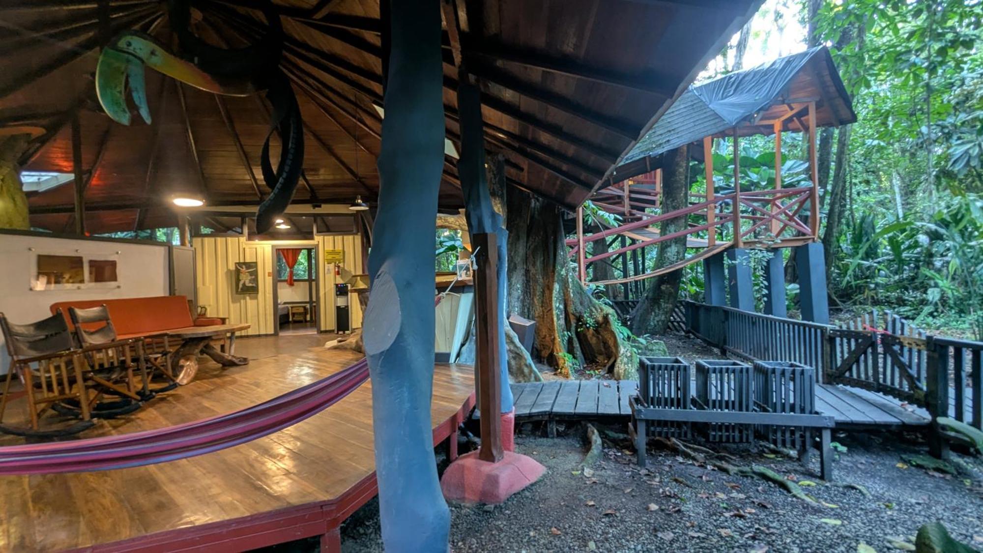Tree House Beachfront Lodge Puerto Viejo de Talamanca Zewnętrze zdjęcie