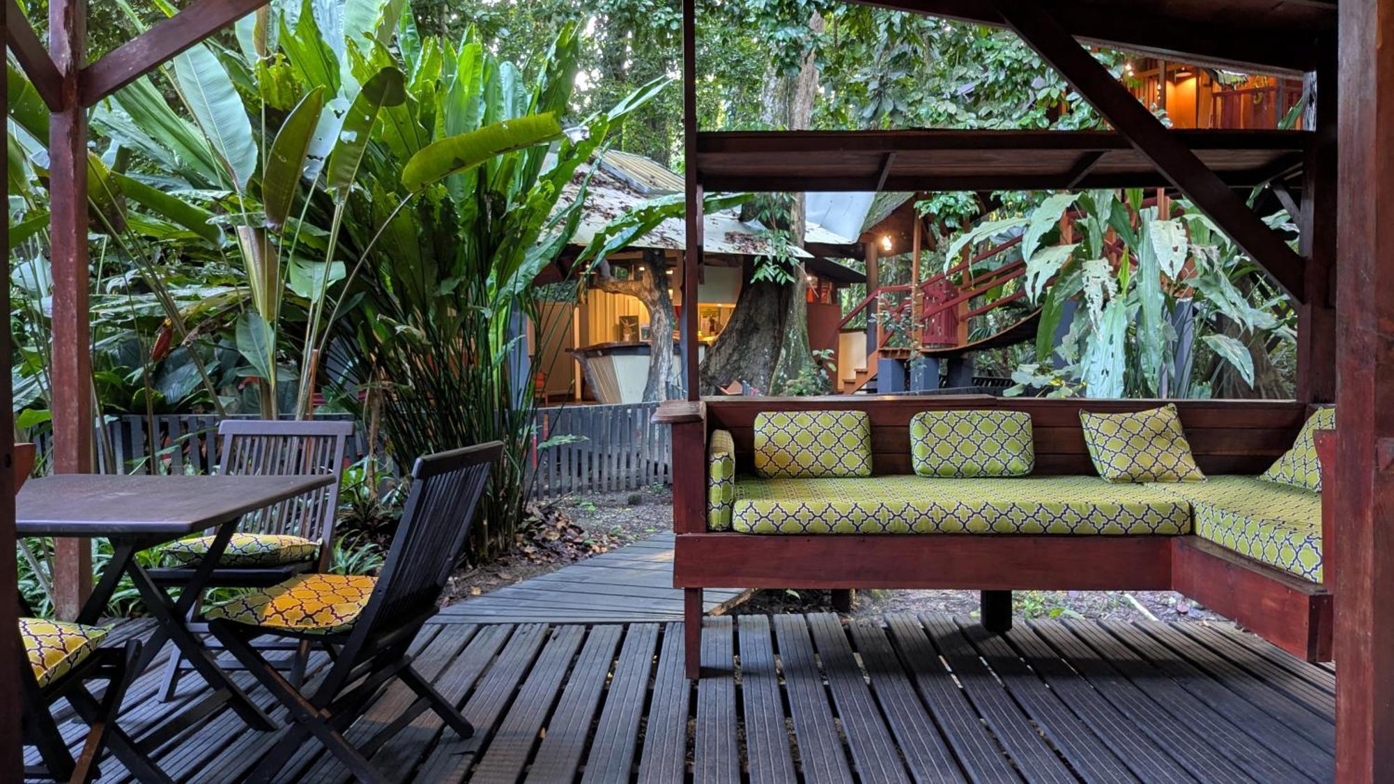 Tree House Beachfront Lodge Puerto Viejo de Talamanca Zewnętrze zdjęcie