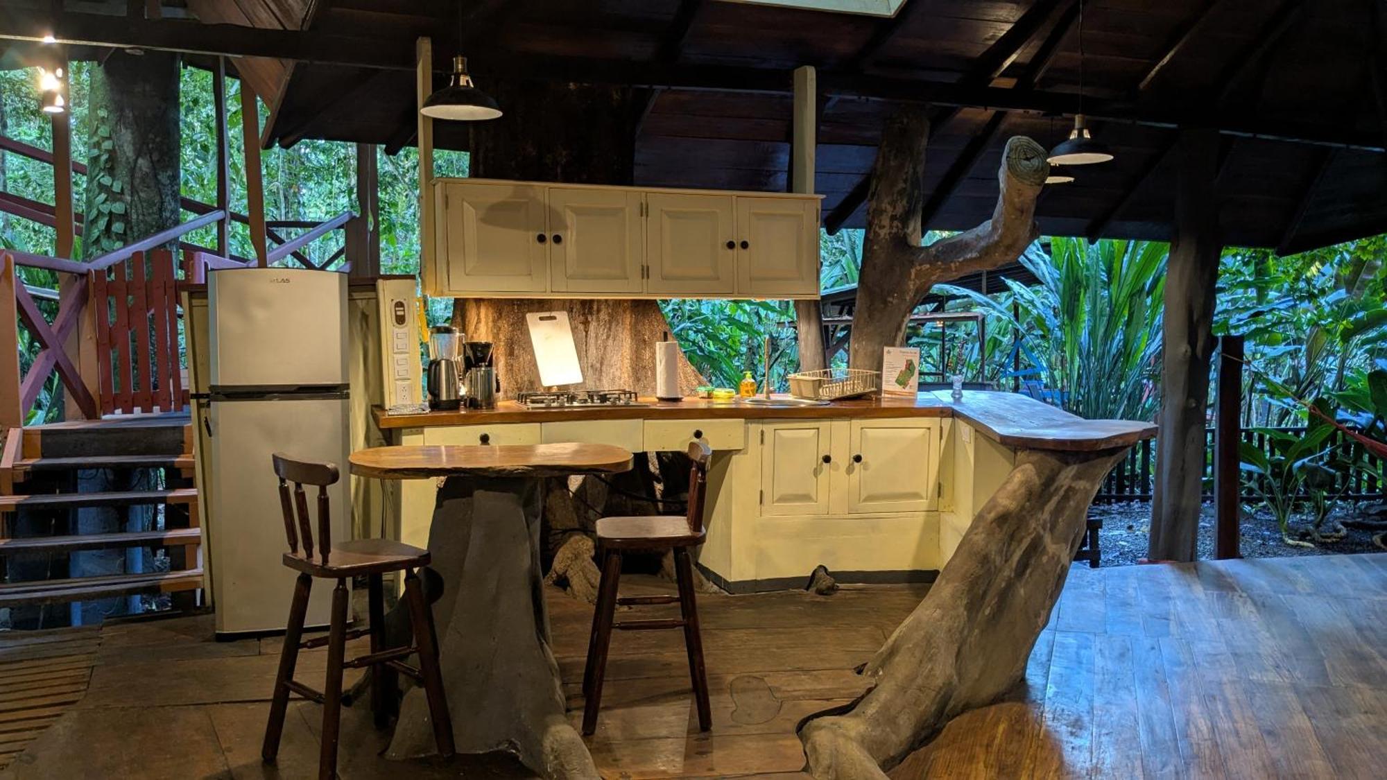 Tree House Beachfront Lodge Puerto Viejo de Talamanca Zewnętrze zdjęcie
