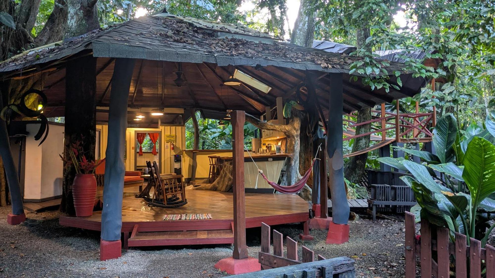 Tree House Beachfront Lodge Puerto Viejo de Talamanca Zewnętrze zdjęcie