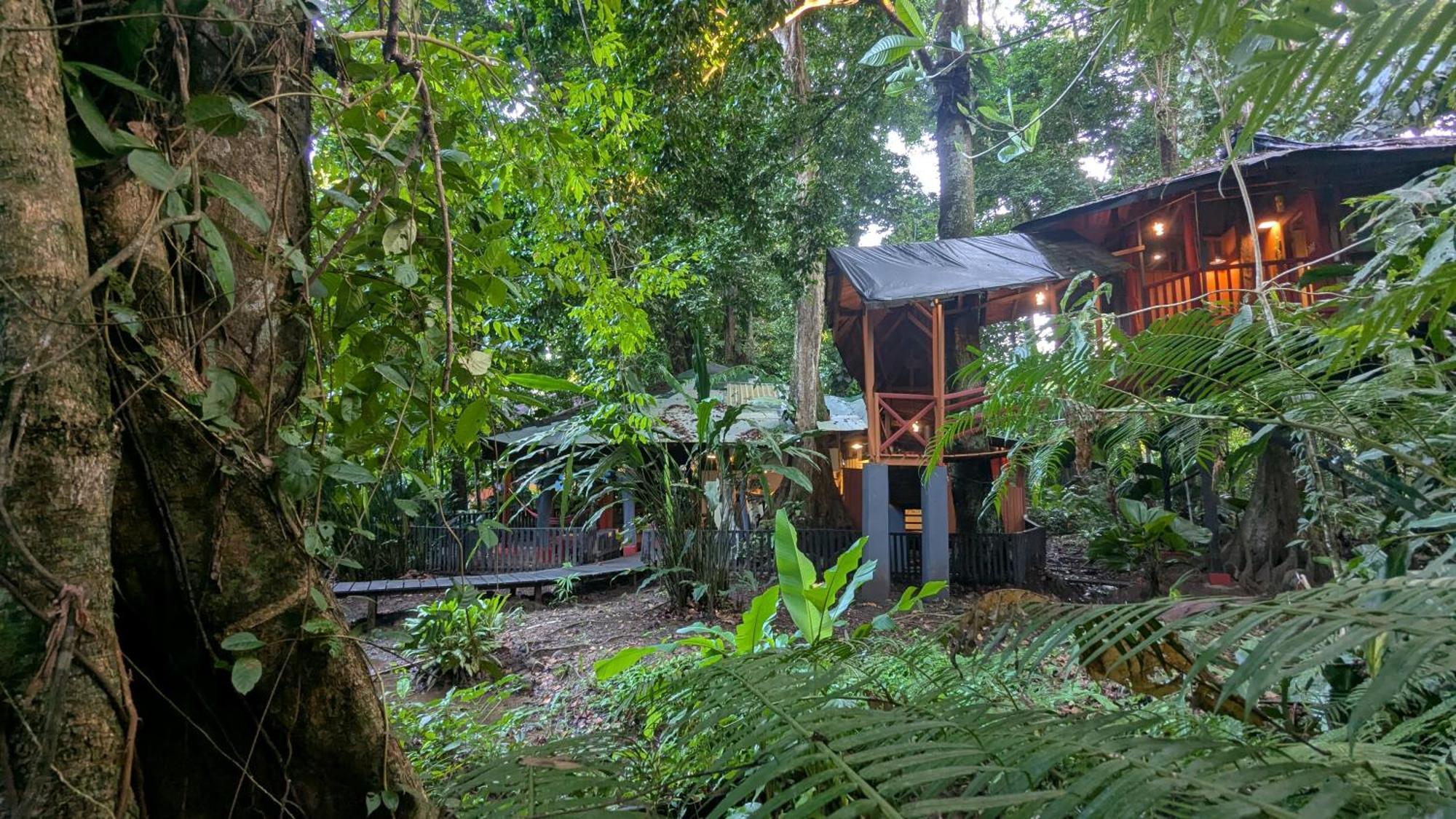 Tree House Beachfront Lodge Puerto Viejo de Talamanca Zewnętrze zdjęcie