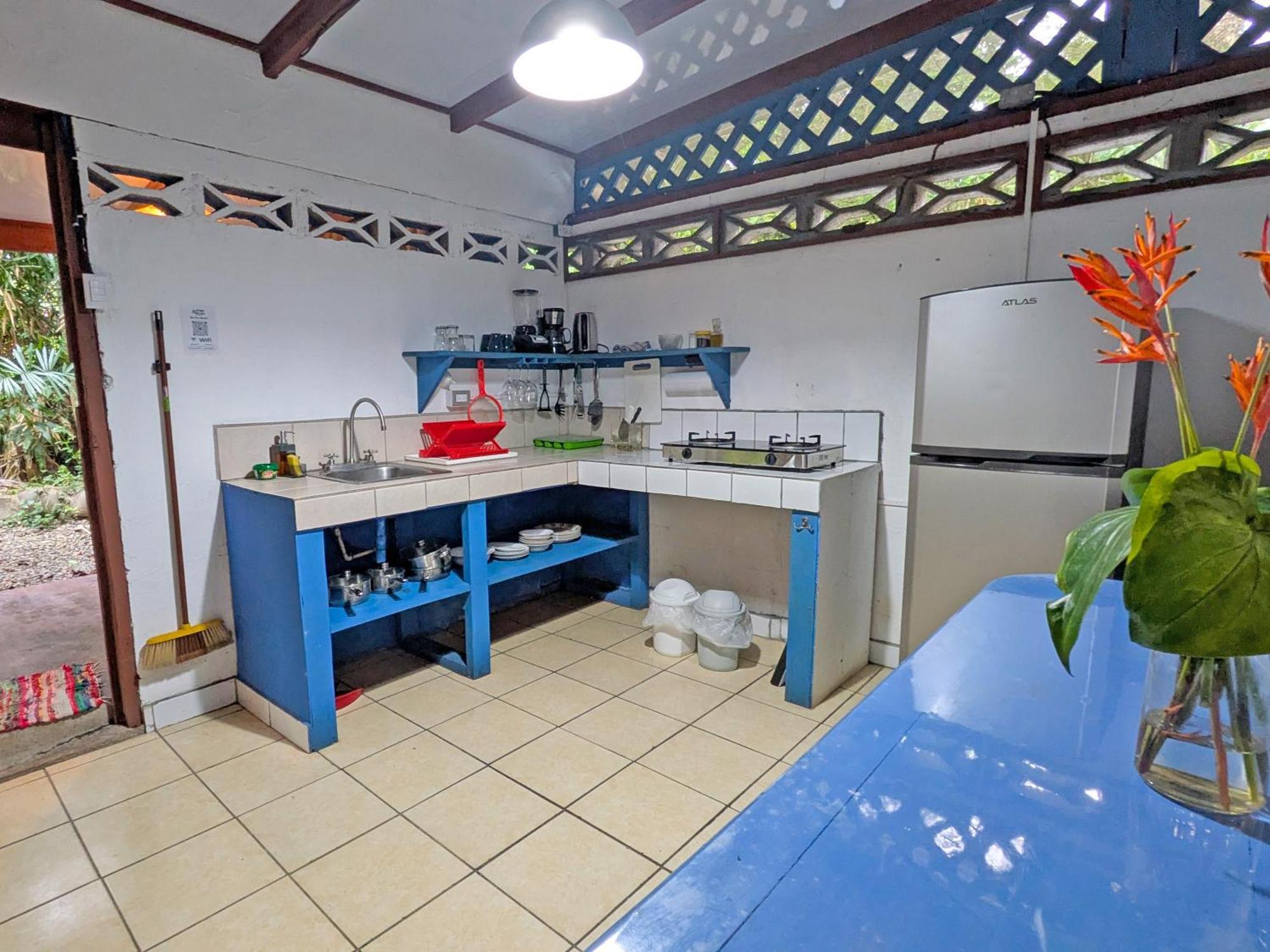 Tree House Beachfront Lodge Puerto Viejo de Talamanca Zewnętrze zdjęcie